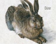 Dürer (Posters), автор: 
