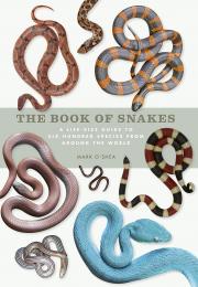 Book of Snakes: A Life-size Guide to Six Hundred Species from Around the World Mark O'Shea