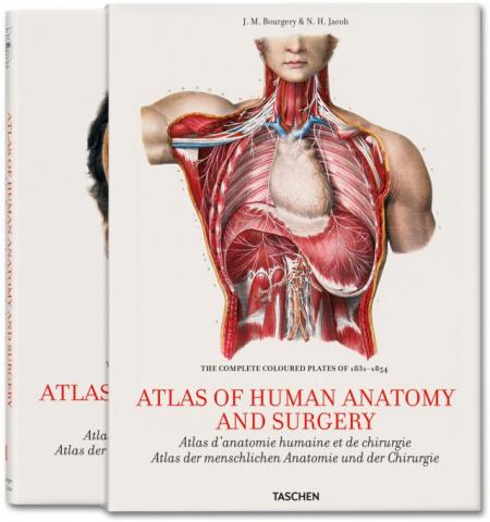 книга Bourgery. Atlas of Human Anatomy and Surgery: The complete coloured Plates of 1831-1854 (2 Vol.), автор: Jean-Marie Le Minor, Henri Sick
