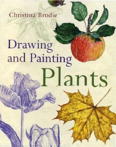 обложка книги Drawing and Painting Plants книга Drawing and Painting Plants, автор: Christina Brodie