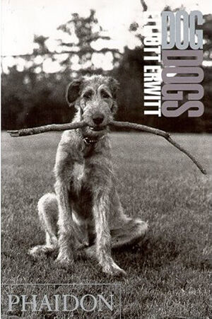 обложка книги Elliott Erwitt. DogDogs книга Elliott Erwitt. DogDogs, автор: Elliott Erwitt