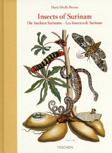 обложка книги Insects of Surinam книга Insects of Surinam, автор: Maria Sybilla Merian, Katharina Schmidt-Loske
