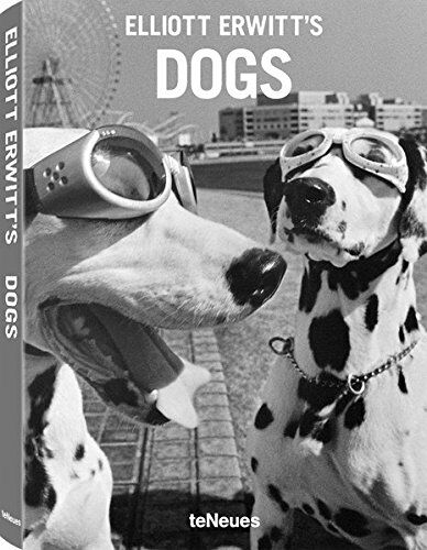 обложка книги Dogs. Small Flexicover Edition книга Dogs. Small Flexicover Edition, автор: Elliott Erwitt