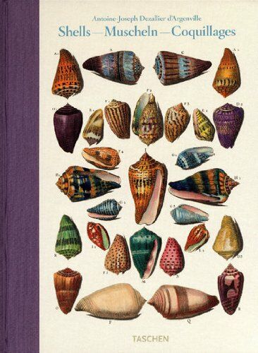 обложка книги Dezallier d'Argenville, Shells книга Dezallier d'Argenville, Shells, автор: Veronica Carpita, Rainer Willmann, Sophia Willmann