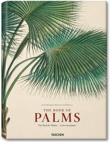 обложка книги Martius, Book of Palms - XL книга Martius, Book of Palms - XL, автор: H. Walter Lack