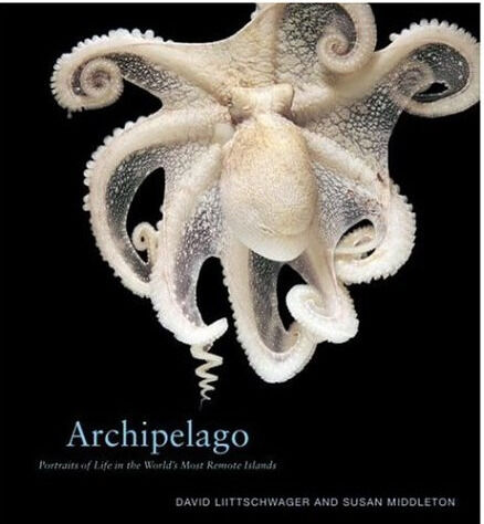 обложка книги Archipelago: Portraits of Life in the World's Most Remote Island Sanctuary книга Archipelago: Portraits of Life in the World's Most Remote Island Sanctuary, автор: David Liittschwager, Susan Middleton