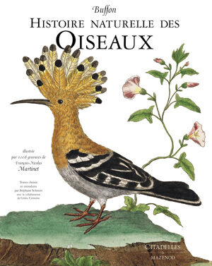 обложка книги Buffon - Histoire naturelle des Oiseaux: Illustree par 1008 gravures de Francois-Nicolas Martinet книга Buffon - Histoire naturelle des Oiseaux: Illustree par 1008 gravures de Francois-Nicolas Martinet, автор: