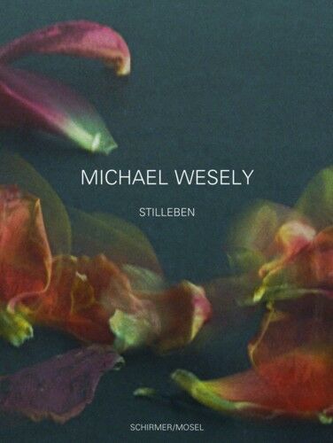 обложка книги Stilleben 2001-2007 книга Stilleben 2001-2007, автор: Michael Wesely