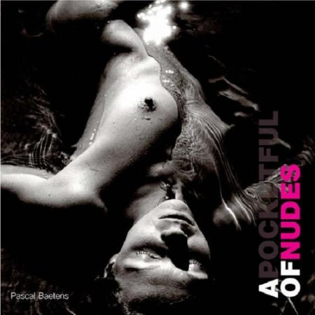 обложка книги A Pocketful of Nudes: The Art of Sensual Photography книга A Pocketful of Nudes: The Art of Sensual Photography, автор: Pascal Baetens