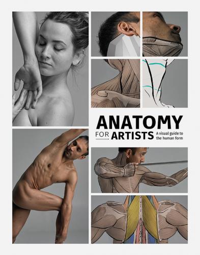 книга Anatomy for Artists: Visual Guide to Human Form, автор: 3DTotal Publishing
