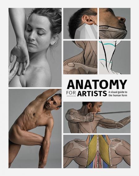 книга Anatomy for Artists: Visual Guide to Human Form, автор: 3DTotal Publishing