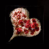 Flowers in the Heart, автор: Moniek Vanden Berghe