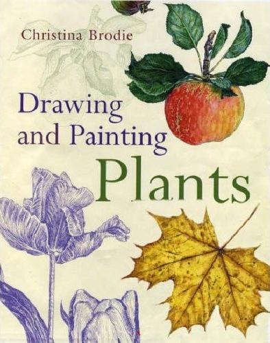 книга Drawing and Painting Plants, автор: Christina Brodie