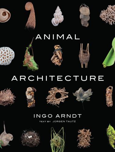 обложка книги Animal Architecture книга Animal Architecture, автор: Ingo Arndt