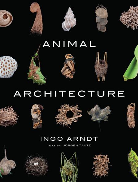 книга Animal Architecture, автор: Ingo Arndt