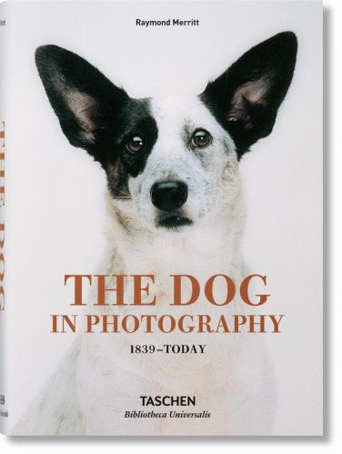 книга The Dog in Photography 1839-Today, автор: Raymond Merritt