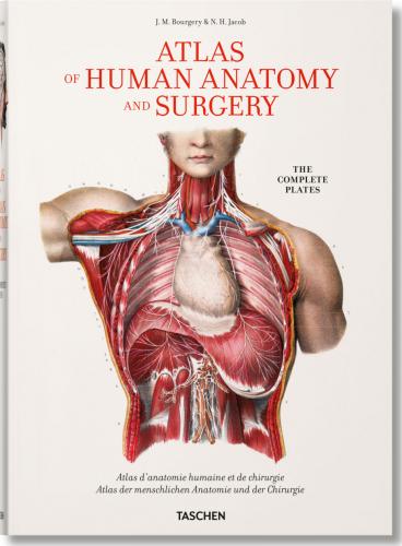 книга Bourgery. Atlas of Human Anatomy and Surgery, автор: Jean-Marie Le Minor, Henri Sick