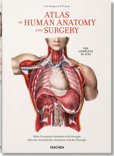 обложка книги Bourgery. Atlas of Human Anatomy and Surgery книга Bourgery. Atlas of Human Anatomy and Surgery, автор: Jean-Marie Le Minor, Henri Sick