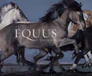 Equus (Mini), автор: Tim Flach, Corita Kent