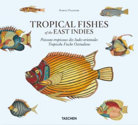 обложка книги Samuel Fallours: Tropical Fishes of the East Indies книга Samuel Fallours: Tropical Fishes of the East Indies, автор: Theodore W. Pietsch