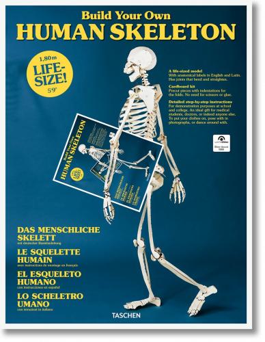 обложка книги Build Your Own Human Skeleton – Life Size! книга Build Your Own Human Skeleton – Life Size!, автор: