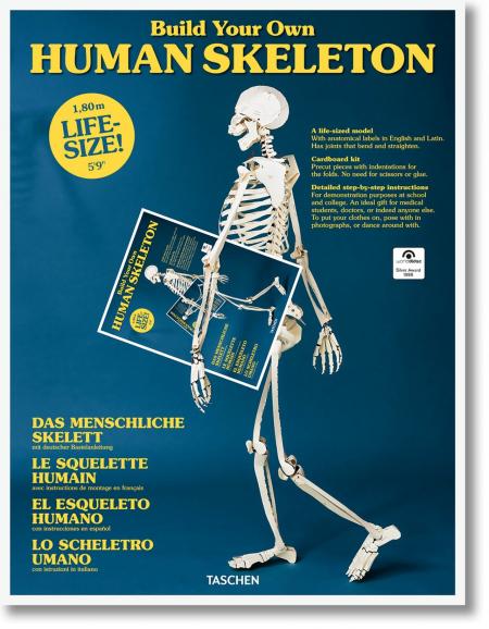 книга Build Your Own Human Skeleton – Life Size!, автор: 