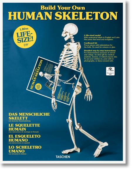 обложка книги Build Your Own Human Skeleton – Life Size! книга Build Your Own Human Skeleton – Life Size!, автор: