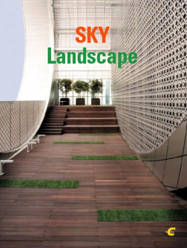 книга Sky Landscape, автор: 