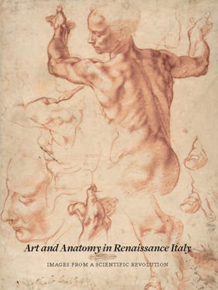 книга Art and Anatomy in Renaissance Italy: Images from a Scientific Revolution, автор: Domenico Laurenza