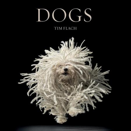 книга Dogs: Gods, автор: Tim Flach