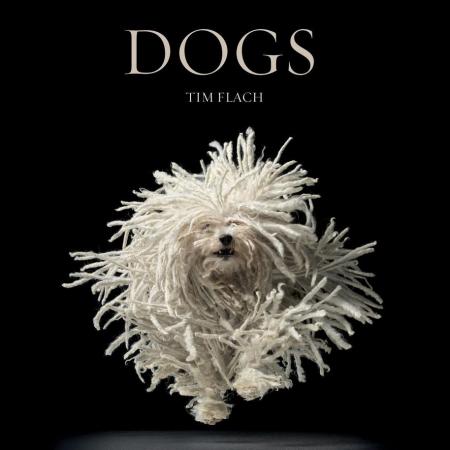 обложка книги Dogs: Gods книга Dogs: Gods, автор: Tim Flach