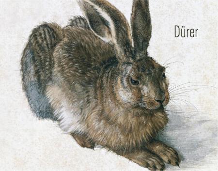 обложка книги Dürer (Posters) книга Dürer (Posters), автор: Albrecht Dürer