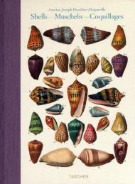 Dezallier d'Argenville, Shells, книга издательства: Taschen Dezallier d'Argenville, Shells, автор: Veronica Carpita, Rainer Willmann, Sophia Willmann