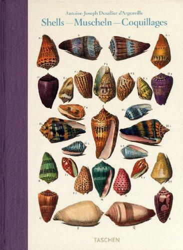 обложка книги Dezallier d'Argenville, Shells книга Dezallier d'Argenville, Shells, автор: Veronica Carpita, Rainer Willmann, Sophia Willmann