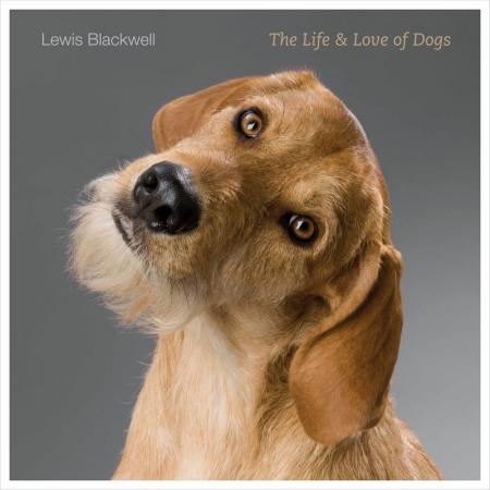 книга The Life and Love of Dogs, автор: Lewis Blackwell