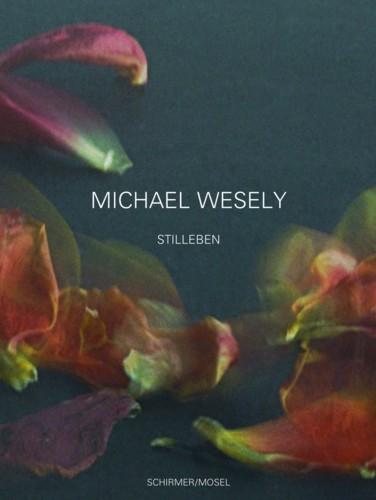 обложка книги Stilleben 2001-2007 книга Stilleben 2001-2007, автор: Michael Wesely