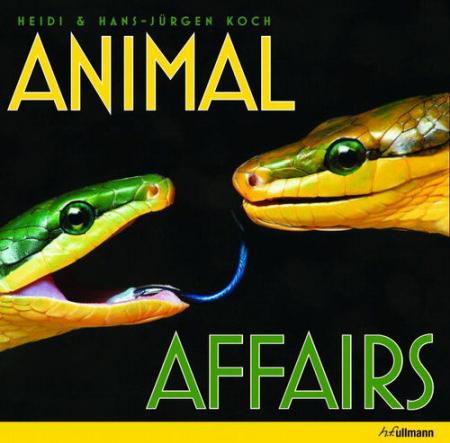 книга Animal Affairs, автор: Heidi Hans-Jurgen