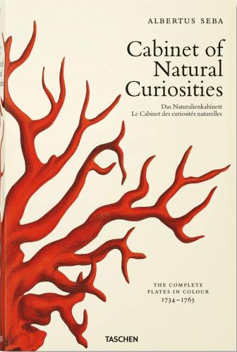книга Seba. Cabinet of Natural Curiosities, автор: Irmgard Müsch, Jes Rust, Rainer Willmann