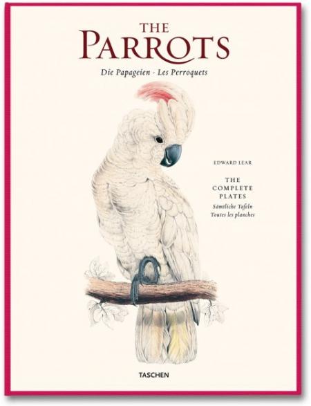 обложка книги Edward Lear, The Parrots книга Edward Lear, The Parrots, автор: Francesco Solinas, Solphia Willmann