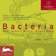 Bacteria and Other Micro Organisms (Agile Rabbit Editions) Cecile Maslakian