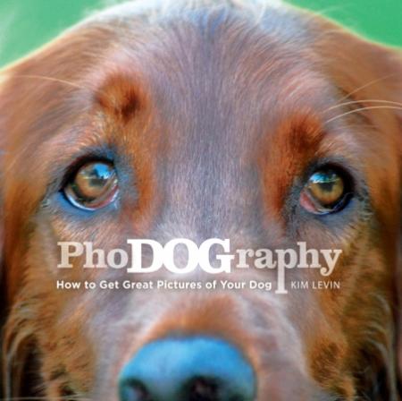 обложка книги Phodography: How to get Great Pictures of your Dog книга Phodography: How to get Great Pictures of your Dog, автор: Kim Levin