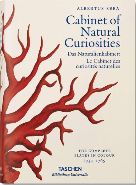 книга Seba. Cabinet of Natural Curiosities, автор: Irmgard Müsch, Jes Rust, Rainer Willmann