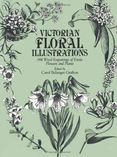 обложка книги Victorian Floral Illustrations: 344 Wood Engravings of Exotic Flowers and Plants книга Victorian Floral Illustrations: 344 Wood Engravings of Exotic Flowers and Plants, автор: Carol Belanger Grafton