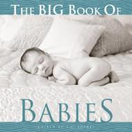 The Big Book of Babies J. C. Suares (Editor)