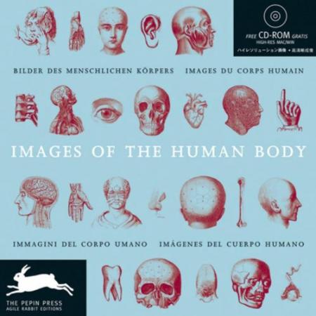 обложка книги Images of the Human Body книга Images of the Human Body, автор: