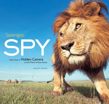 книга Serengeti Spy: Views from Hidden Camera on the Plains of East Africa, автор: Anup Shah