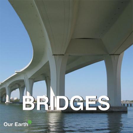 обложка книги Bridges (Our Earth Collection) книга Bridges (Our Earth Collection), автор: