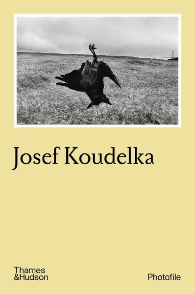 обложка книги Josef Koudelka книга Josef Koudelka, автор: Bernard Cuau