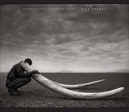 обложка книги Nick Brandt: Across the Ravaged Land книга Nick Brandt: Across the Ravaged Land, автор: Nick Brandt