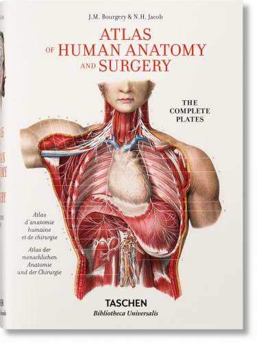 книга Jean Marc Bourgery. Atlas of Human Anatomy and Surgery, автор: Jean-Marie Le Minor, Henri Sick